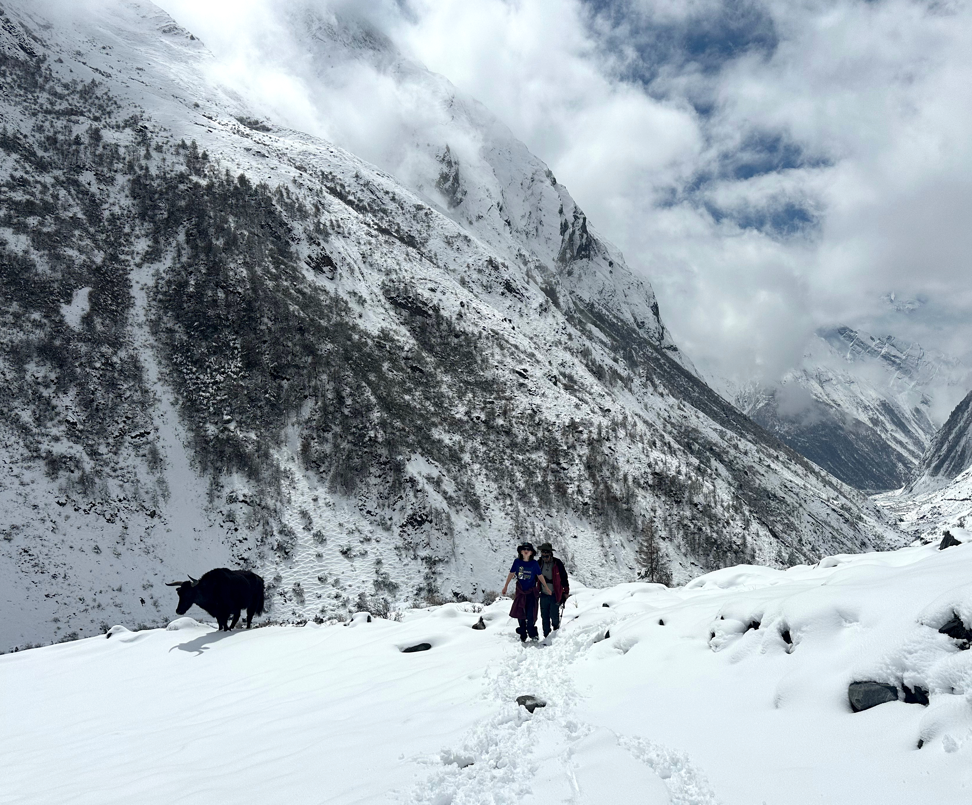 Monte and Finchley Macpherson with a yak on the snowy trail near their summit point.