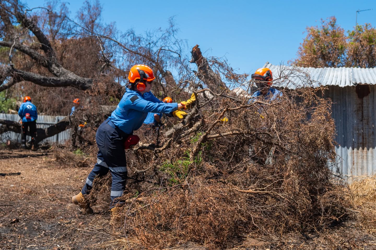 Volunteers clearing branches from a fire-affected property.