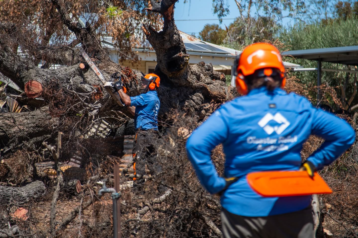 A Disaster Relief Australia volunteer clearing a fire-damaged tree with a chainsaw.
